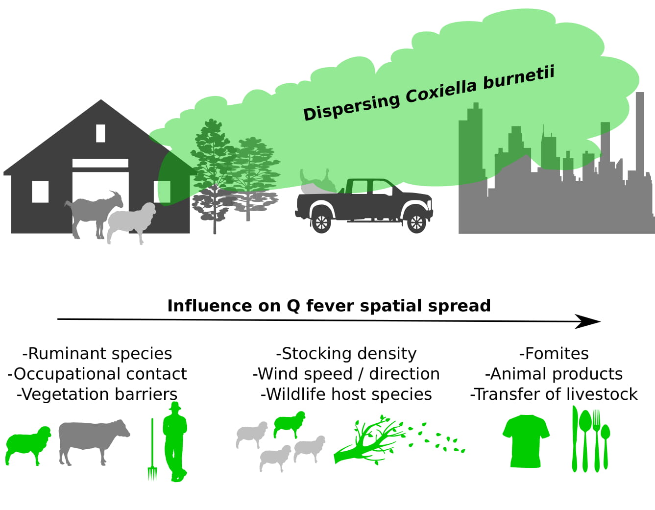 Q fever is a zoonotic bacterial disease caused by Coxiella burnetii. The Spatial Epidemiology Lab (SpatialEpi) is a medical geography and disease ecology research group based at the University of Queensland that is involved in biosecurity management of Q fever risk in Australia.