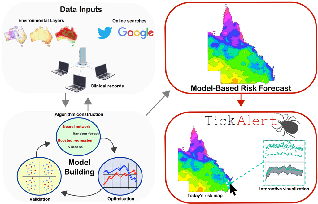 Ixodes holocyclus causes tick paralysis in Australian pets. The Spatial Epidemiology Lab (SpatialEpi) is a medical geography and disease ecology research group based at the University of Queensland that is developing integrated biosecurity management tools for monitoring tick paralysis risk in Australia.