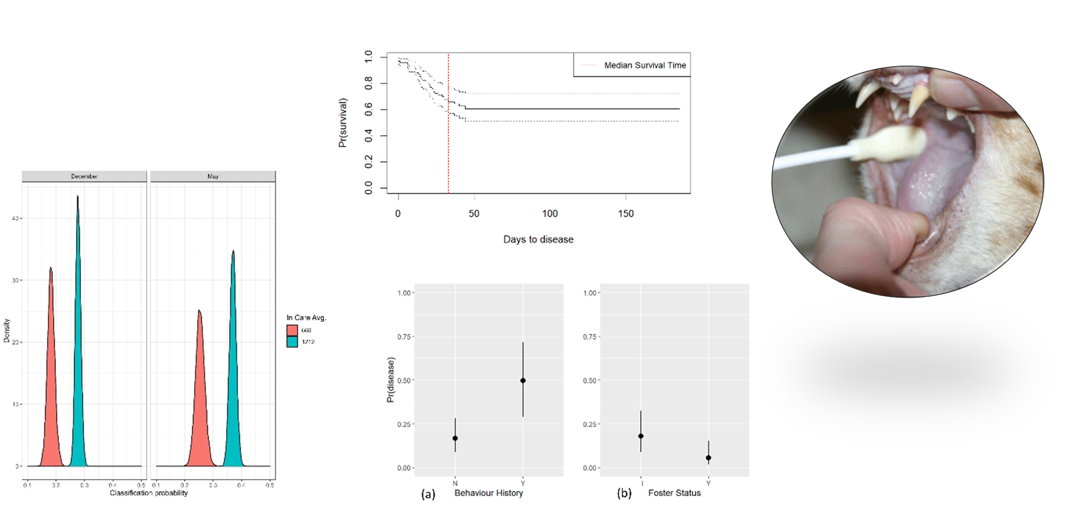 The Spatial Epidemiology Lab (SpatialEpi) is a medical geography and disease ecology research group based at the University of Queensland that is involved in biosecurity management of zoonoses in Australia and elsewhere.